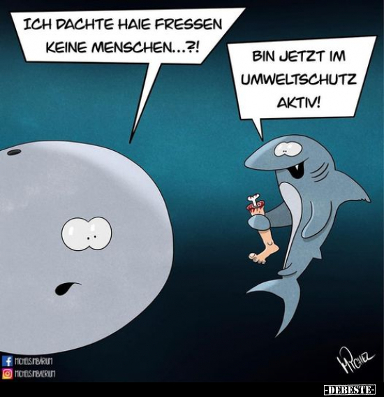 Ich dachte, Haie fressen keine Menschen...?!.. - Lustige Bilder | DEBESTE.de