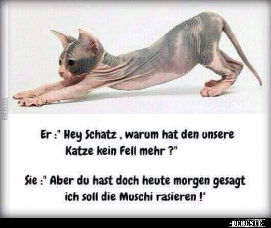Er: "Hey Schatz, warum hat den unsere Katze kein Fell.." - Lustige Bilder | DEBESTE.de