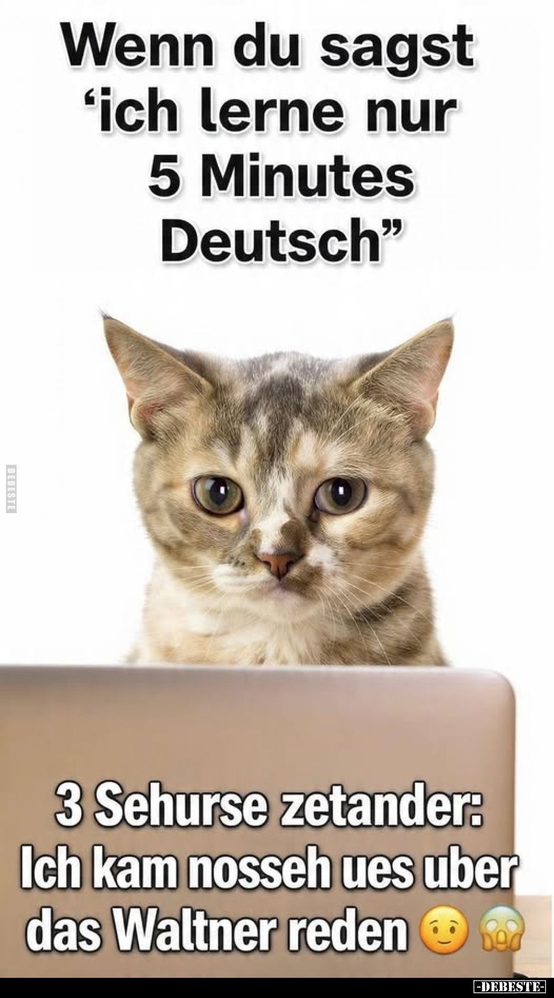 Wenn du sagst
"Ich lerne nur
5 Minutes
Deutsch."

3 Sehurse zetander:
Ich kam nosseh ues uber
das Waltner re...
