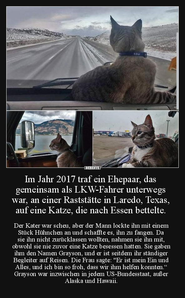 Im Jahr 2017 traf ein Ehepaar.. - Lustige Bilder | DEBESTE.de