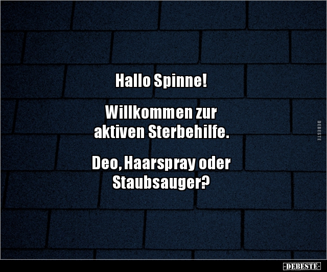 Hallo Spinne! Willkommen zur aktiven.. - Lustige Bilder | DEBESTE.de