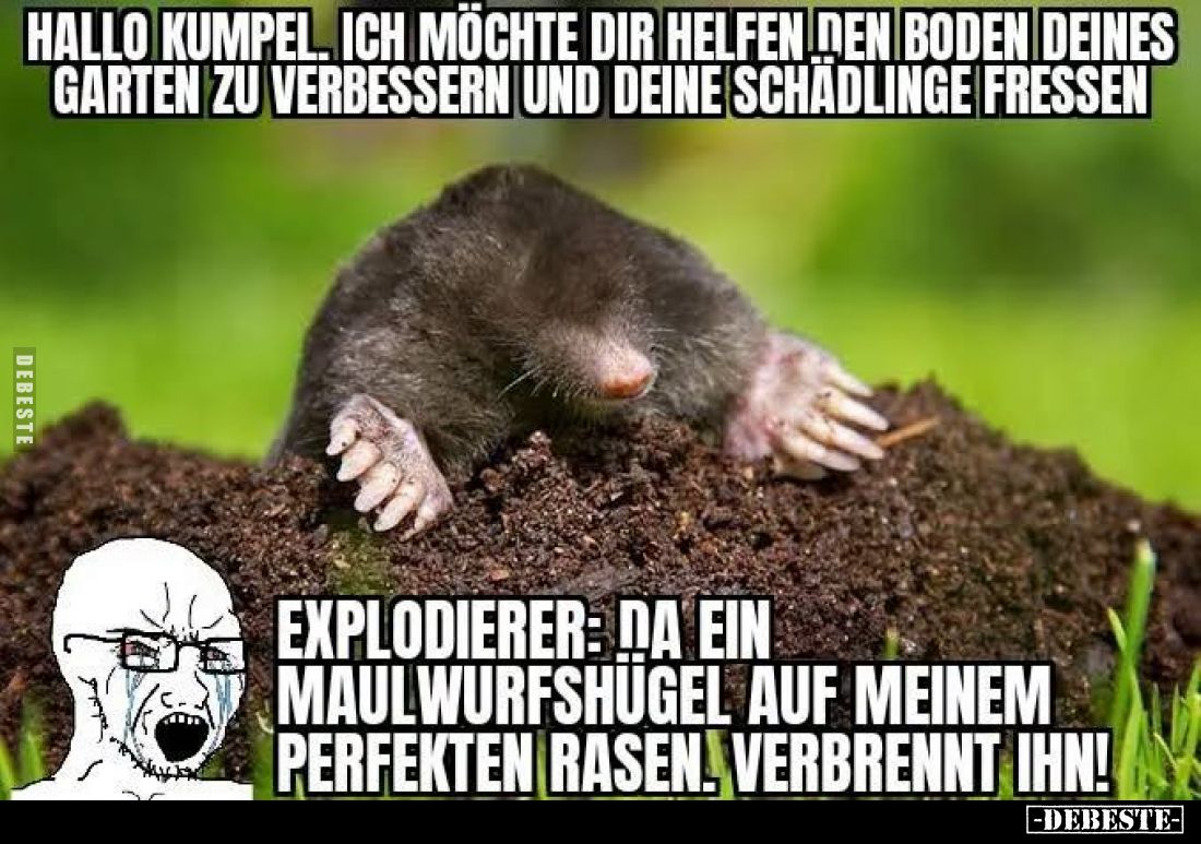 Hallo Kumpel. Ich möchte dir helfen den Boden deines Garten zu verbessern und deine Schädlinge fressen. -
Explodierer: Na ei...