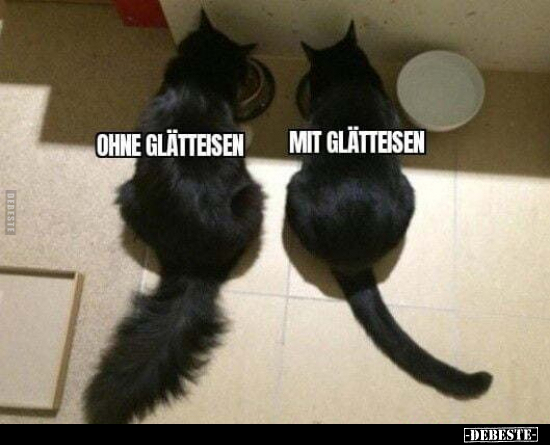  - Lustige Bilder | DEBESTE.de