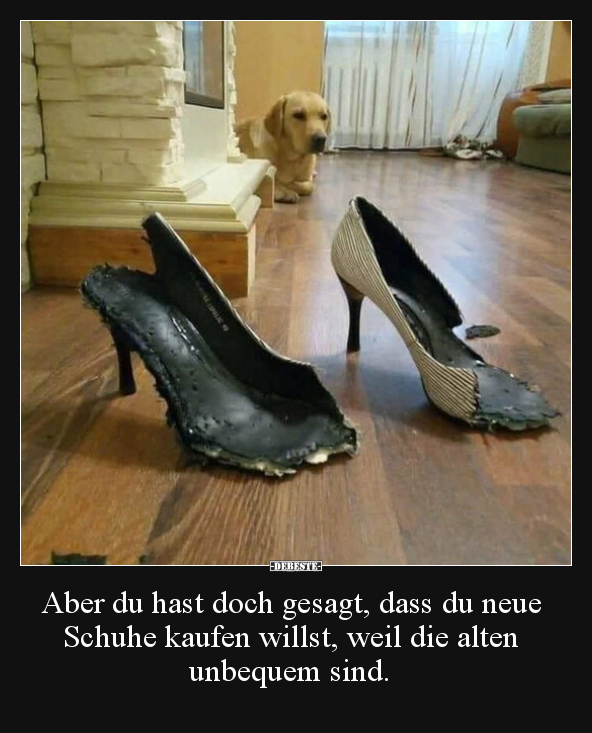 Aber du hast doch gesagt, dass du neue Schuhe kaufen.. - Lustige Bilder | DEBESTE.de
