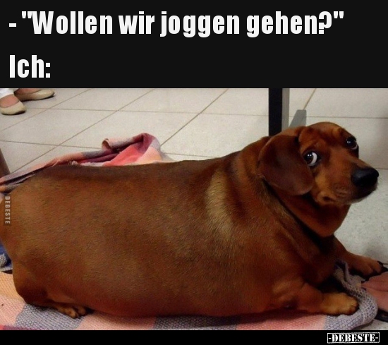 - "Wollen wir joggen gehen?"...