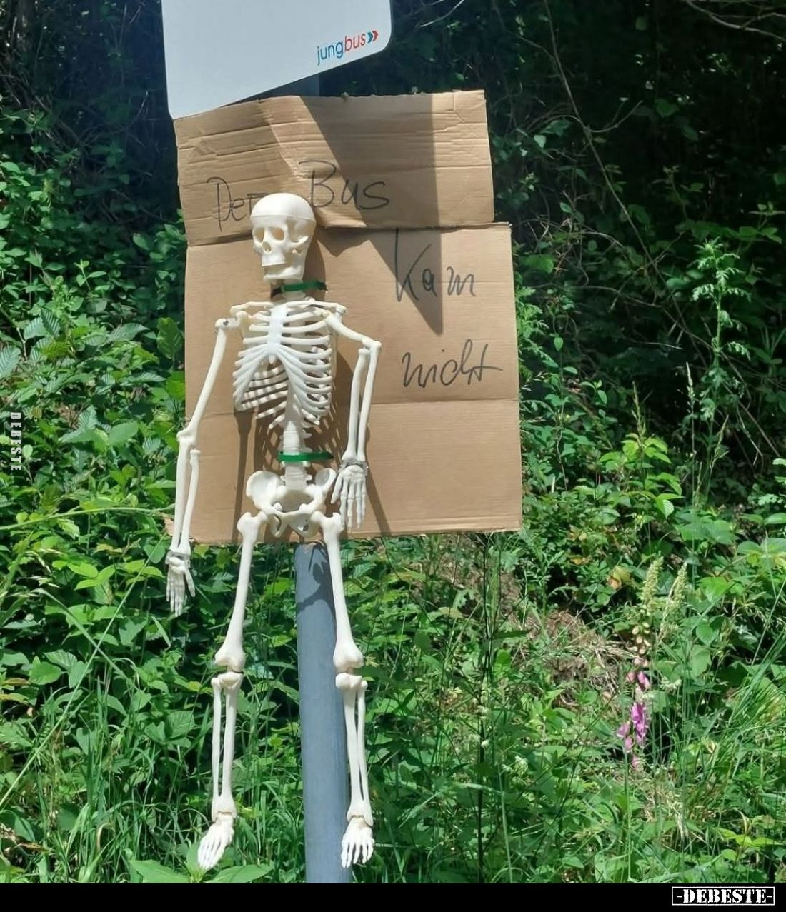 Der Bus kam nicht.