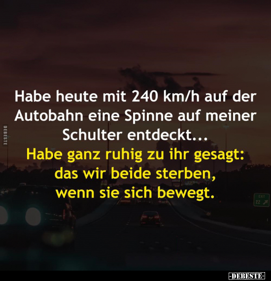 Habe heute mit 240 km/h auf der Autobahn eine Spinne auf.. - Lustige Bilder | DEBESTE.de