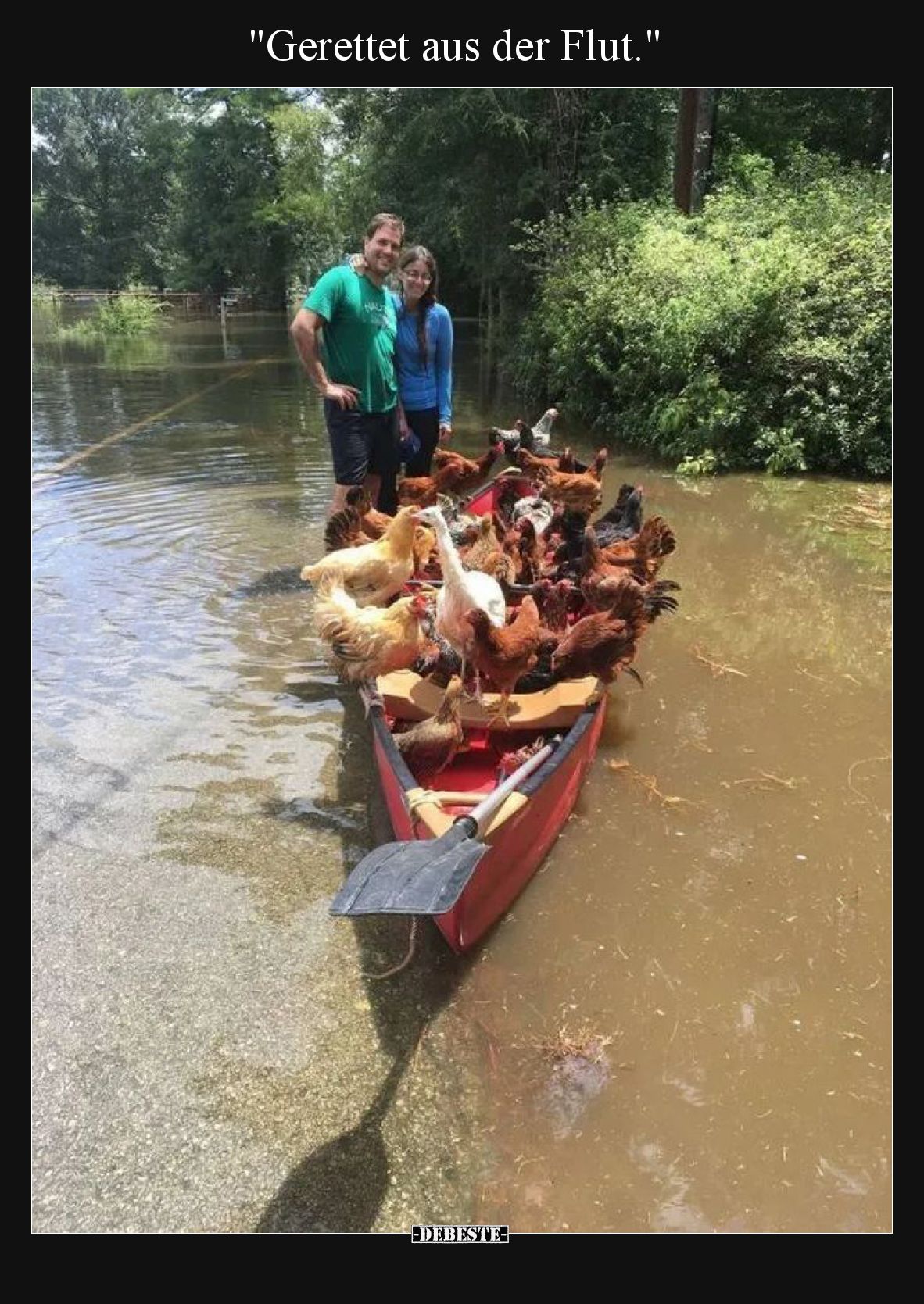 "Gerettet aus der Flut.".. - Lustige Bilder | DEBESTE.de
