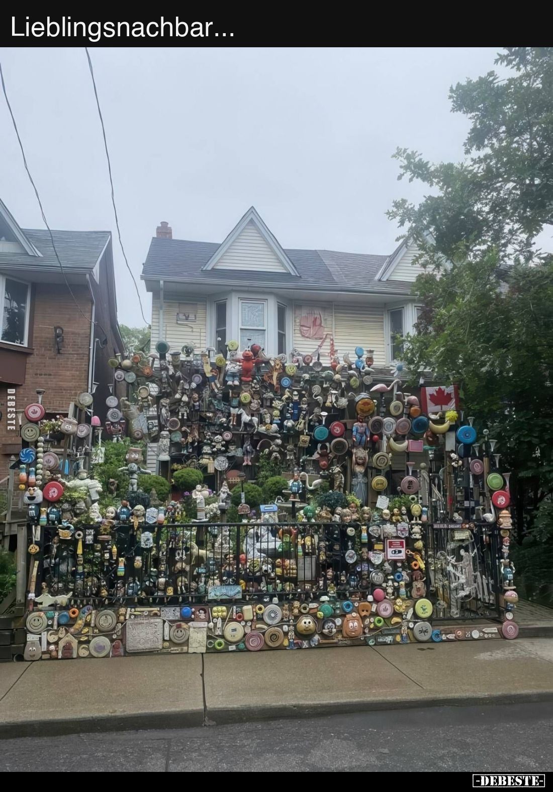 Lieblingsnachbar...