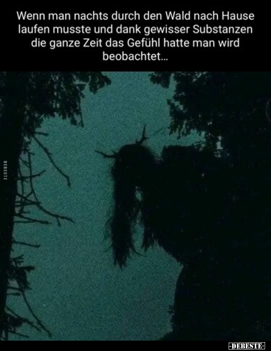 Wenn man nachts durch den Wald nach Hause laufen musste.. - Lustige Bilder | DEBESTE.de