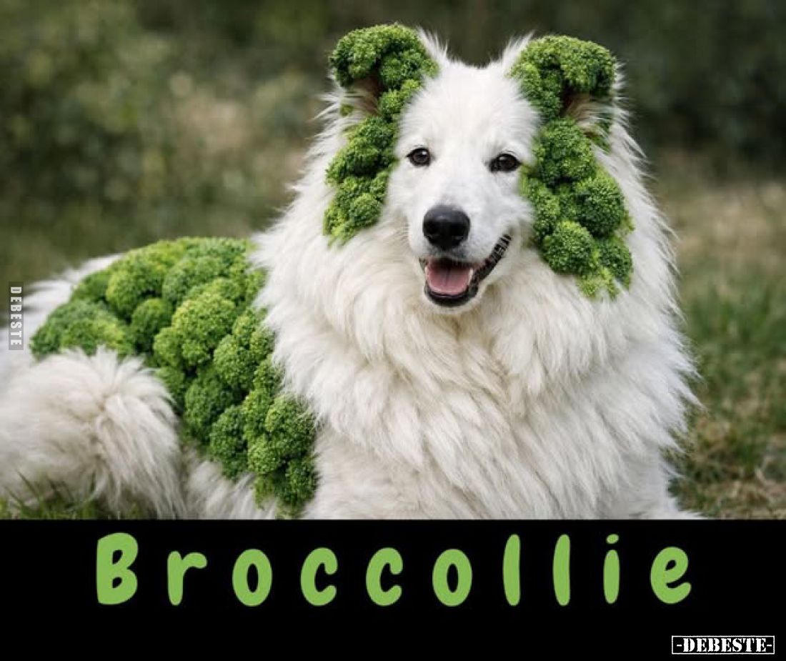 Broccollie.