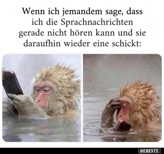 Wenn ich jemandem sage, dass ich die Sprachnachrichten.. - Lustige Bilder | DEBESTE.de