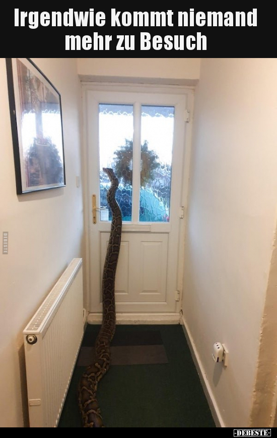 Irgendwie kommt niemand mehr zu Besuch..