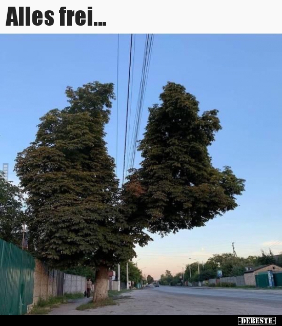 Alles frei...
