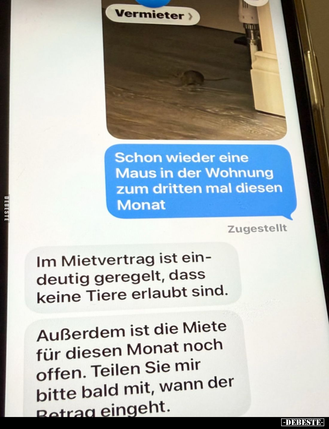 Schon wieder eine Maus in der Wohnung zum dritten mal diesen Monat - Im Mietvertrag ist eindeutig geregelt, dass keine Tiere ...