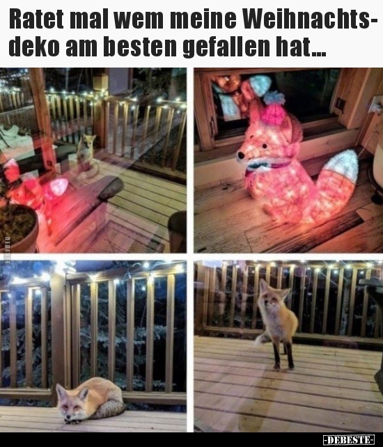 Ratet mal wem meine Weihnachts- deko am besten gefallen.. - Lustige Bilder | DEBESTE.de