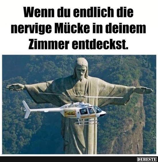 Wenn du endlich die nervige Mücke in deinem Zimmer entdeckst..