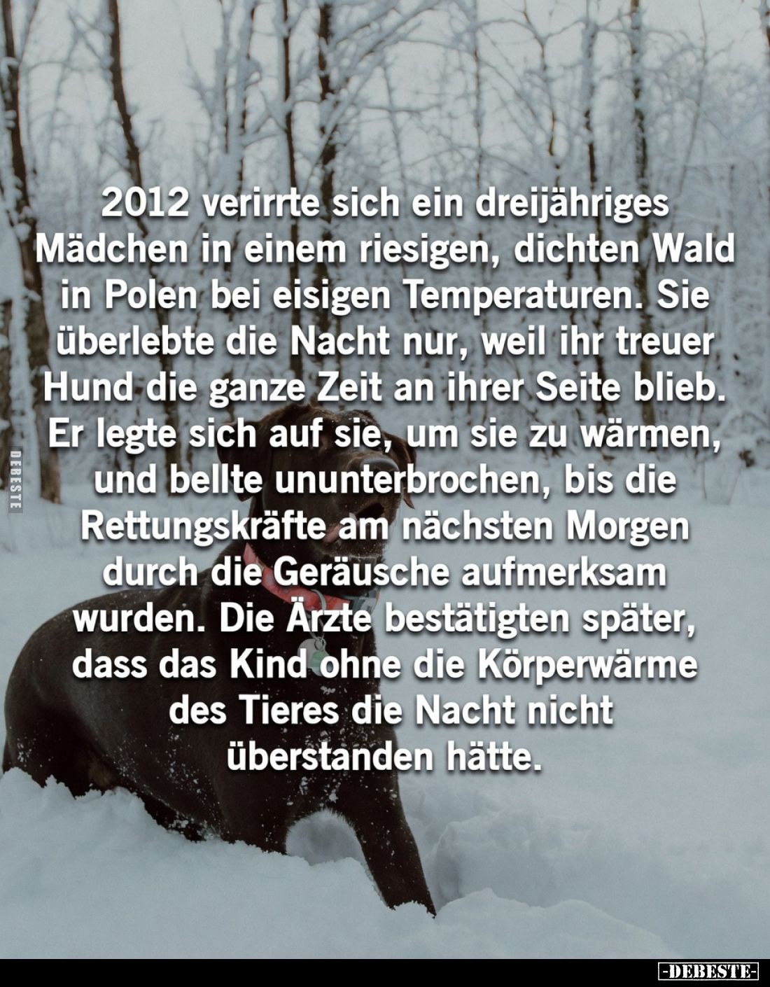 2012 verirrte sich ein dreijähriges Mädchen in einem riesigen, dichten Wald in Polen bei eisigen Temperaturen.
Sie überlebte...