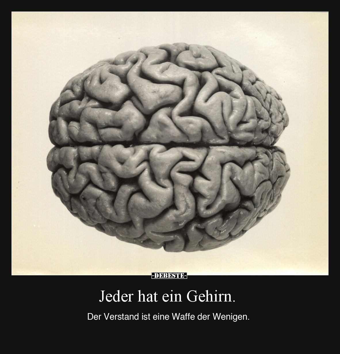 Jeder hat ein Gehirn.

Der Verstand ist eine Waffe der Wenigen.
