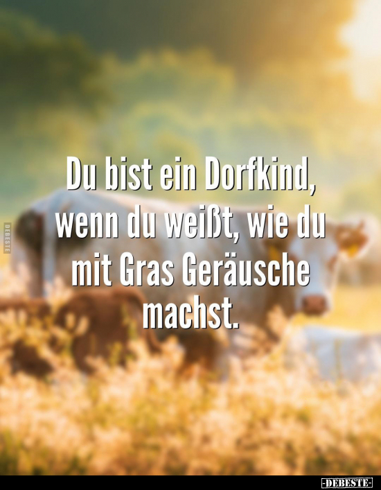 Du bist ein Dorfkind, wenn du weißt, wie du mit Gras.. - Lustige Bilder | DEBESTE.de