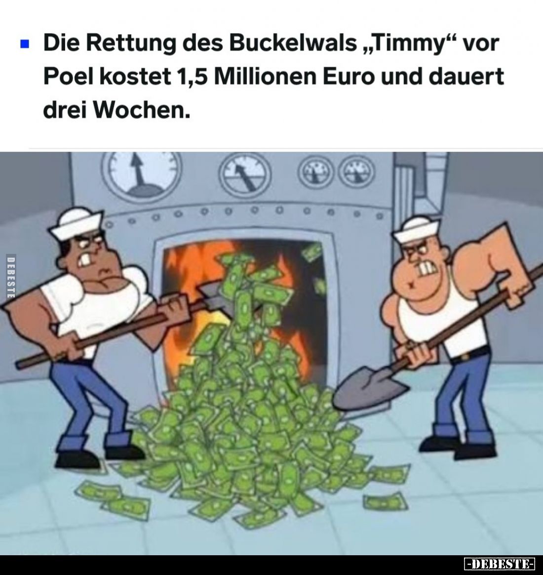 Die Rettung des Buckelwals „Timmy“ vor Poel kostet 1,5 Millionen Euro und dauert drei Wochen