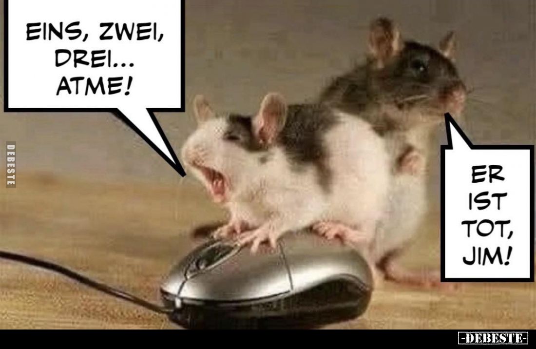 Eins, zwei, drei... Atme!
Er ist Tot, Jim.