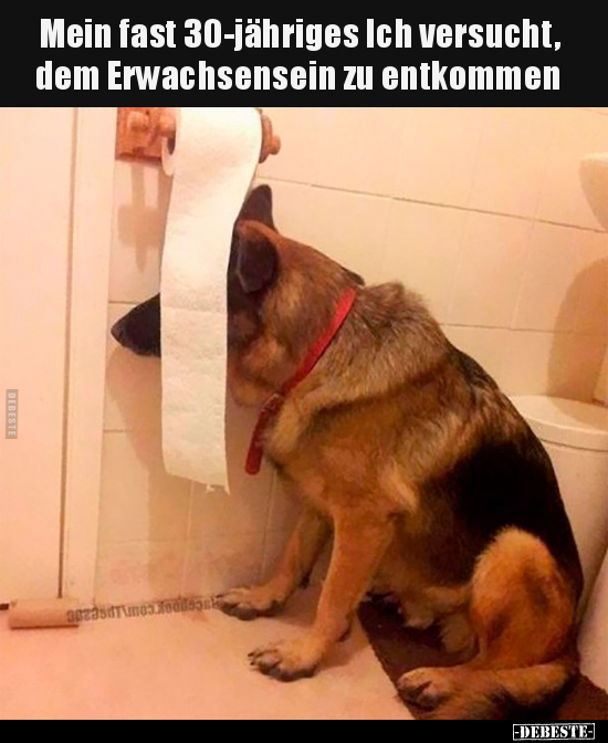 Mein fast 30-jähriges Ich versucht, dem Erwachsensein zu entkommen