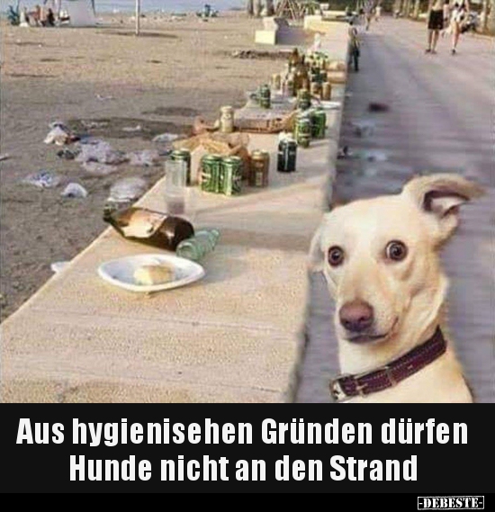 Aus hygienisehen Gründen dürfen Hunde nicht an den..