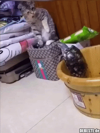 Bleib gefälligst drin...