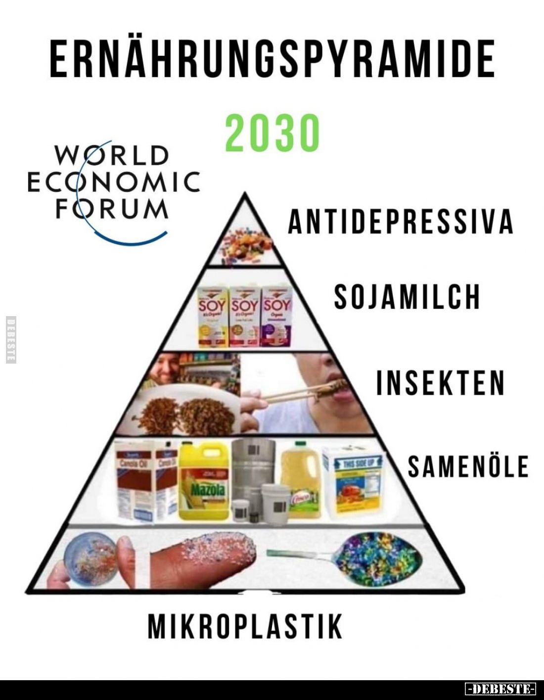 Ernährungspyramide 2030
-
Antidepressiva
Sojamilch
Insekten
Samenöle
Mikroplastik
-
World Economic Forum