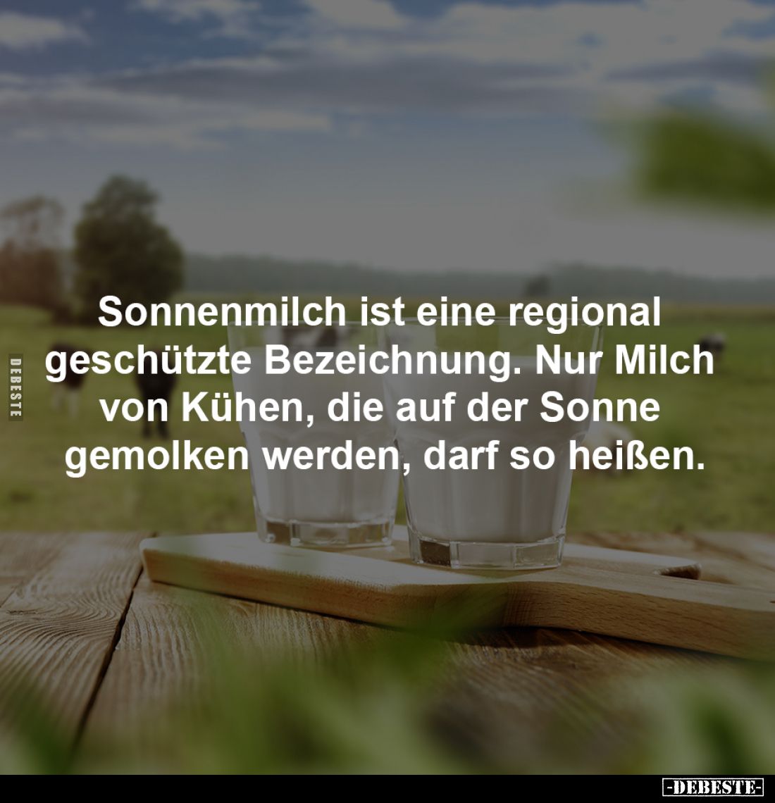 Sonnenmilch ist eine regional geschützte Bezeichnung... - Lustige Bilder | DEBESTE.de