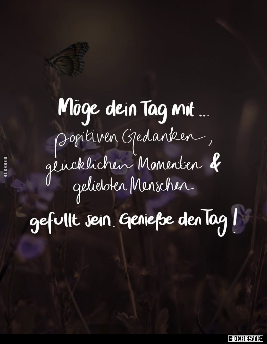 Möge dein Tag mit... Positiven Gedanken, glücklichen Momenten und geliebten Menschen
gefüllt sein. Genieße den Tag!