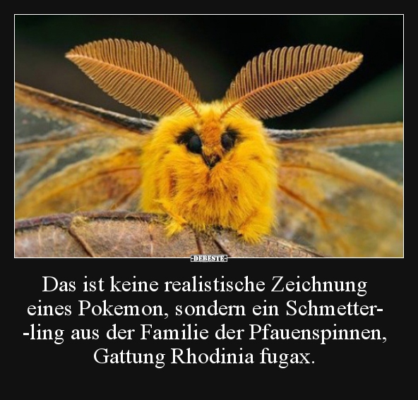 Das ist keine realistische Zeichnung eines Pokemon.. - Lustige Bilder | DEBESTE.de
