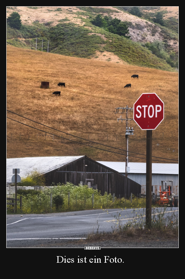 Dies ist ein Foto...