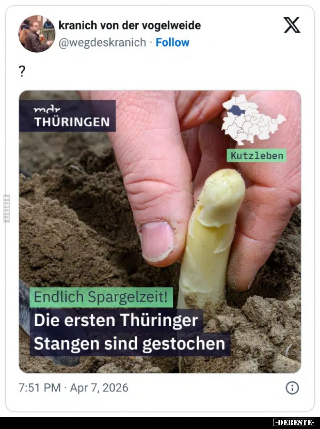  - Lustige Bilder | DEBESTE.de