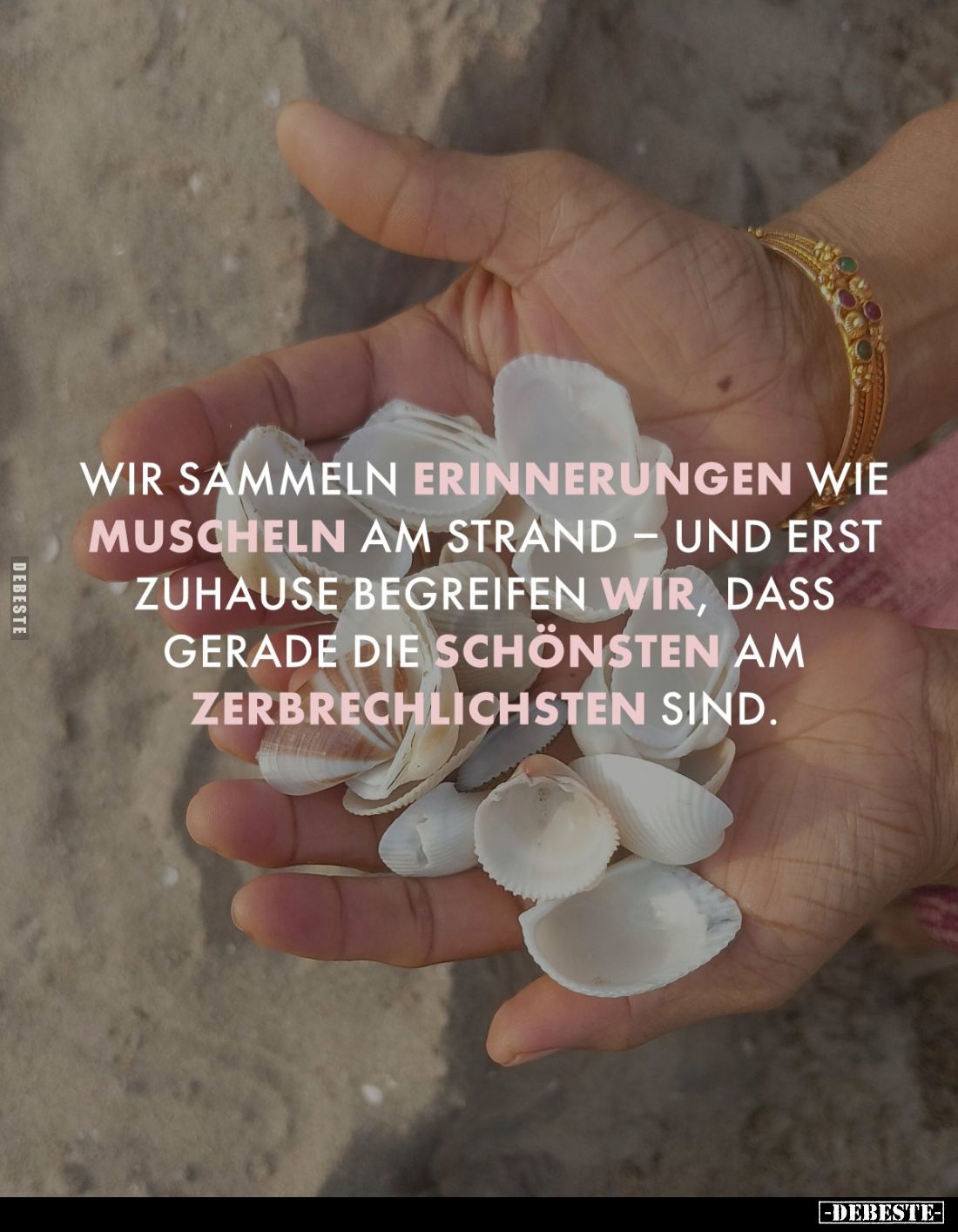 Wir sammeln Erinnerungen wie Muscheln am Strand - und erst zuhause begreifen wir, dass gerade die schönsten am zerbrechlichst...