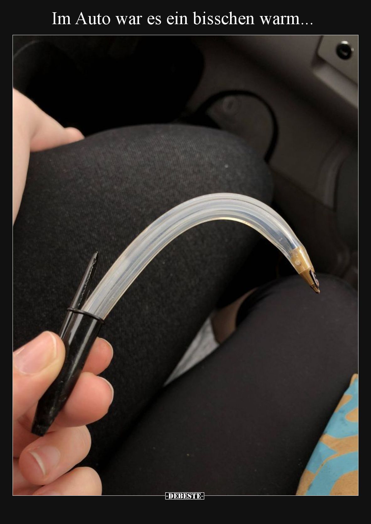 Im Auto war es ein bisschen warm... - Lustige Bilder | DEBESTE.de