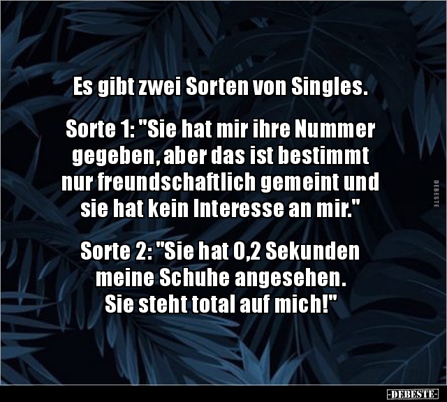 Es gibt zwei Sorten von Singles. Sorte 1: "Sie hat mir.." - Lustige Bilder | DEBESTE.de
