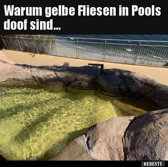 Warum gelbe Fliesen in Pools doof sind... - Lustige Bilder | DEBESTE.de