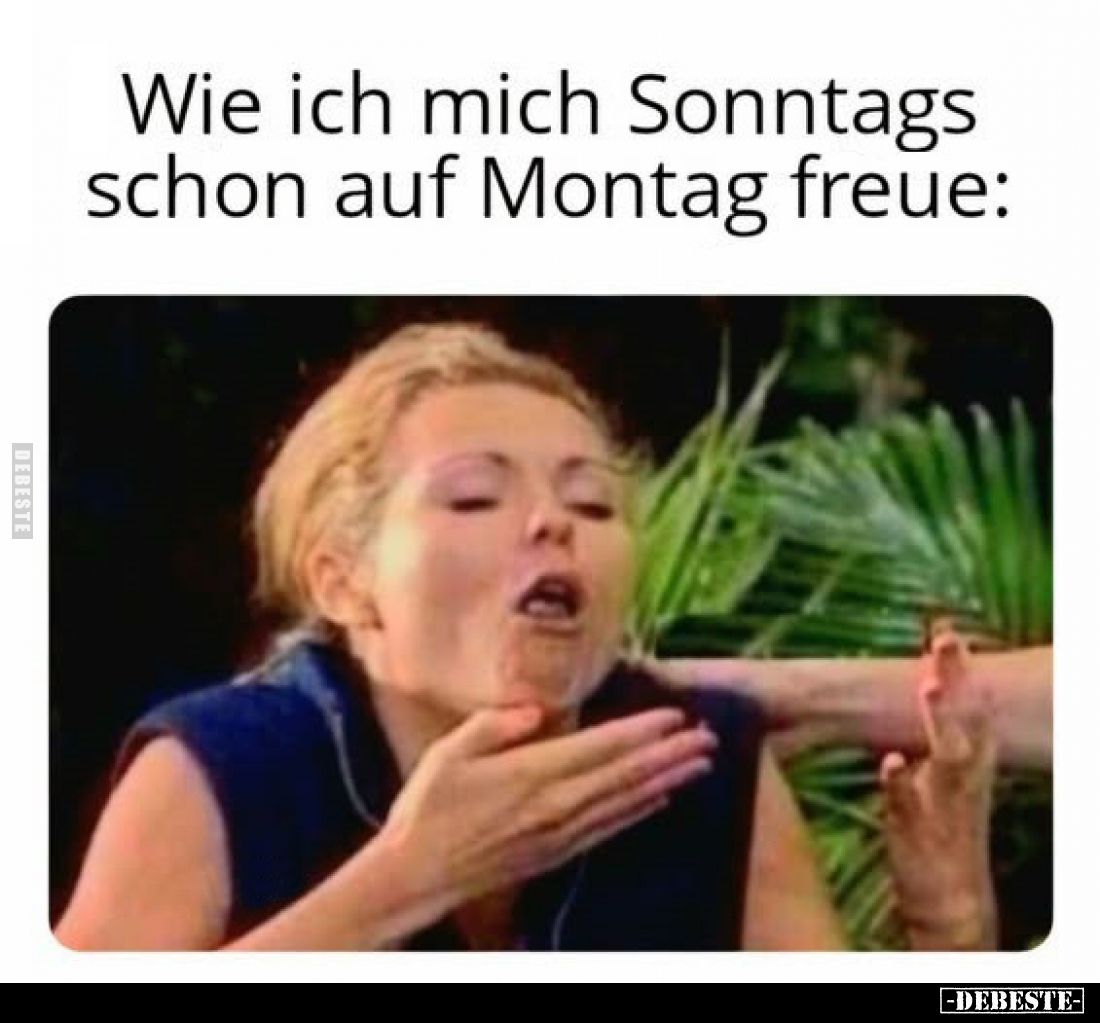 Wie ich mich Sonntags schon auf Montag freue: