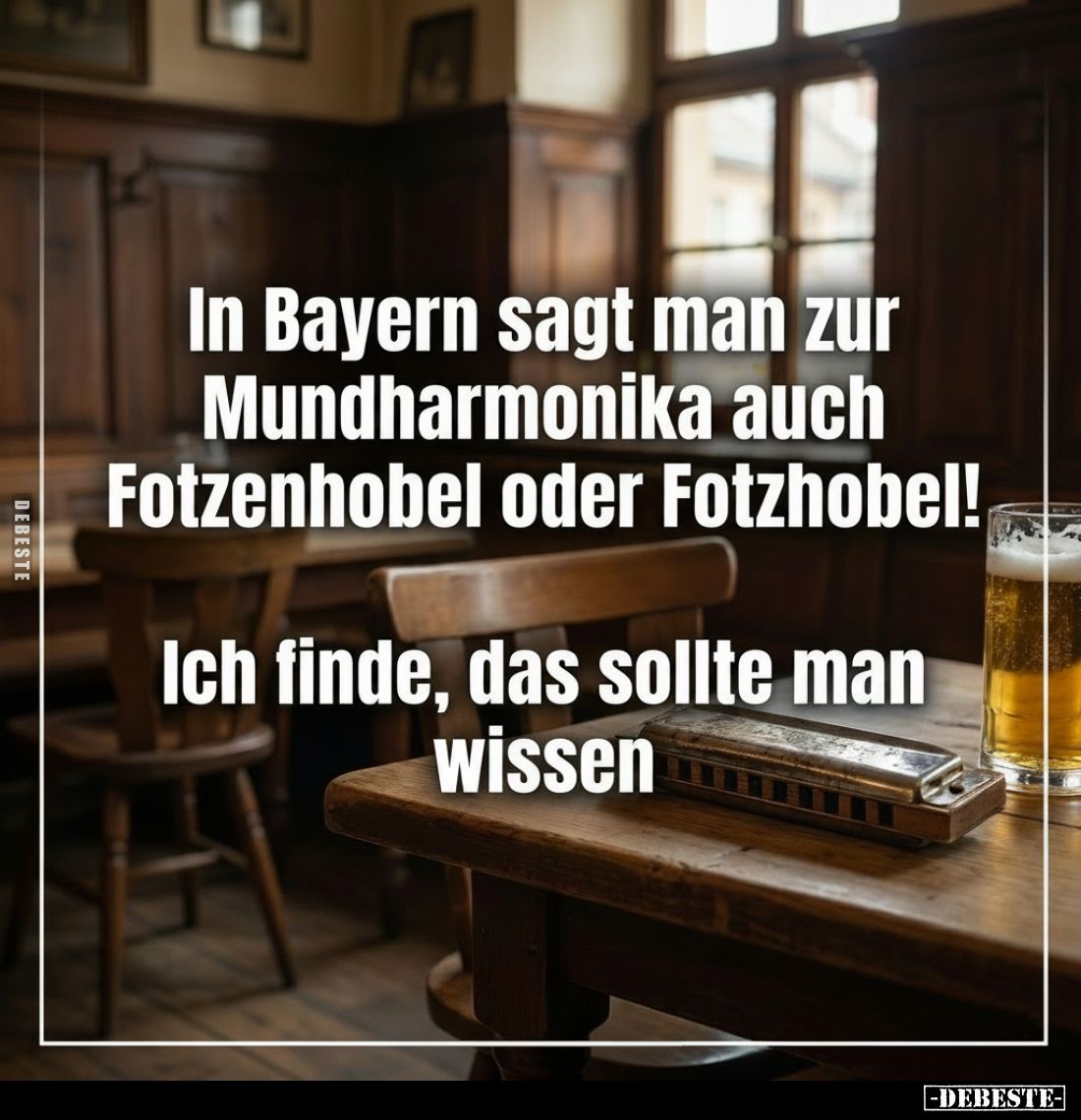 In Bayern sagt man zur Mundharmonika auch Fotzenhobel oder Fotzhobel!

Ich finde, das sollte man wissen.