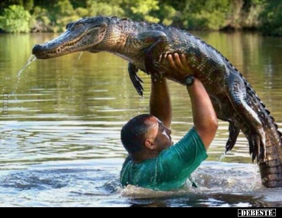  - Lustige Bilder | DEBESTE.de