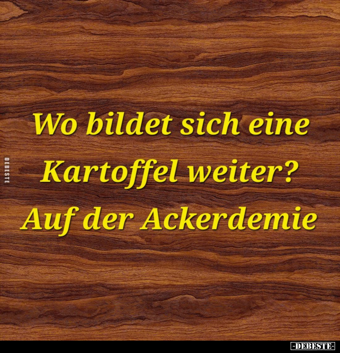 Wo bildet sich eine Kartoffel weiter? - Auf der Ackerdemie.