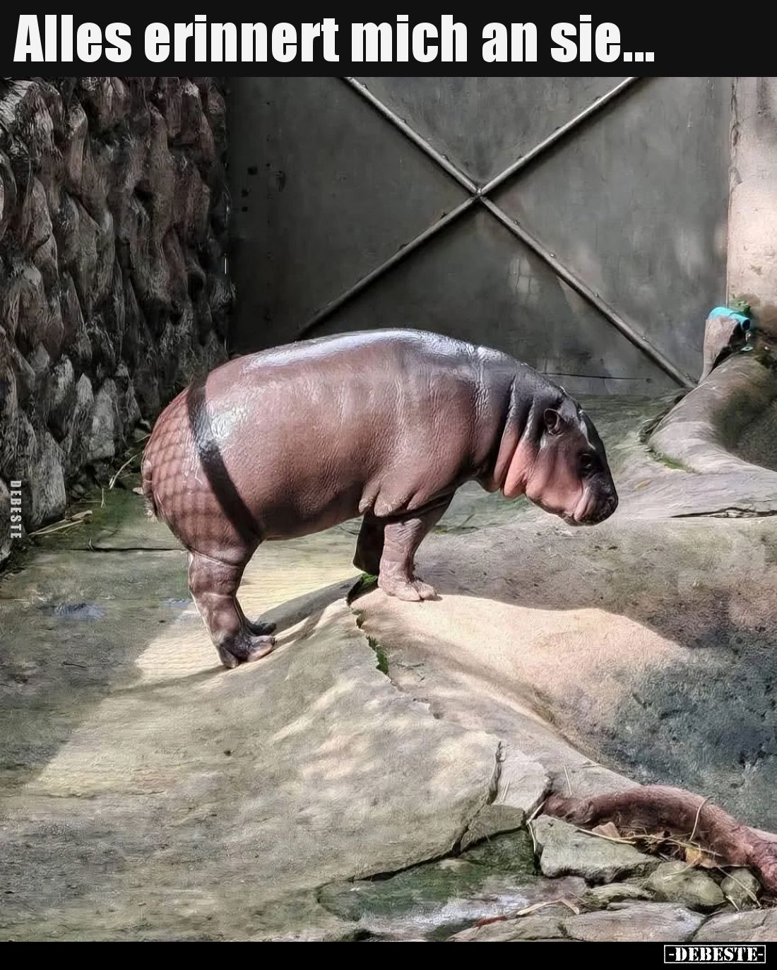 Alles erinnert mich an sie...