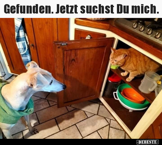 Gefunden. Jetzt suchst Du mich...