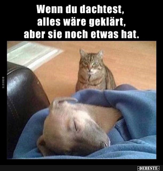 Wenn du dachtest, alles wäre geklärt, aber sie noch etwas hat.