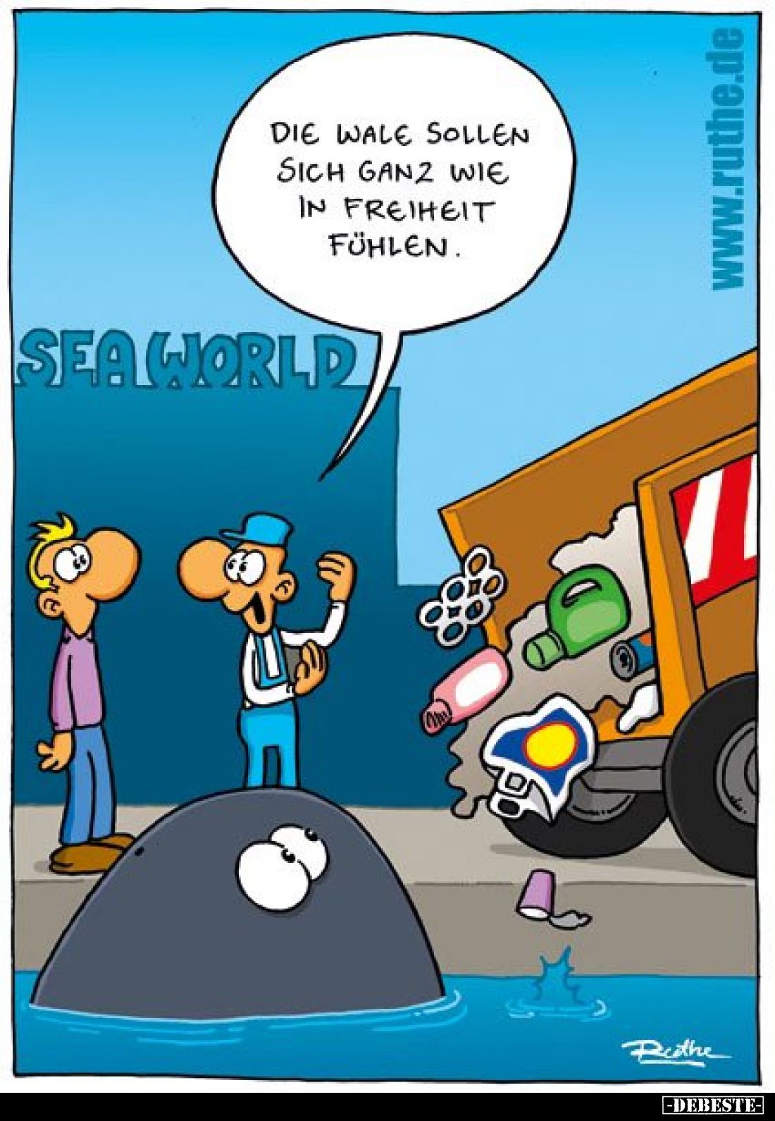 Die Wale sollen sich ganz wie in Freiheit fühlen.. - Lustige Bilder | DEBESTE.de