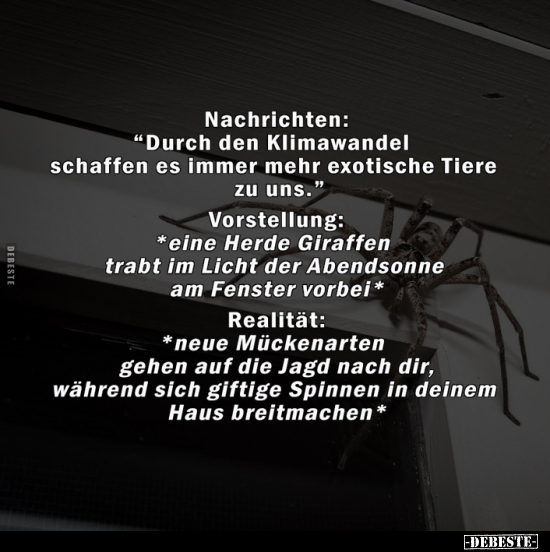 Nachrichten: "Durch den Klimawandel schaffen.." - Lustige Bilder | DEBESTE.de