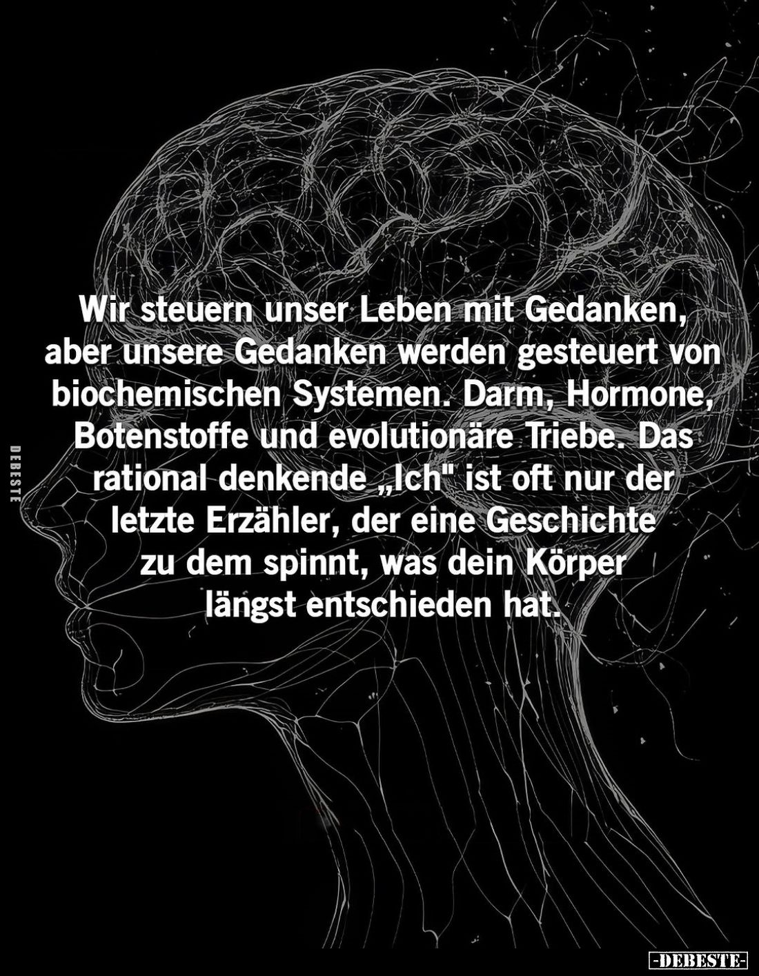 Wir steuern unser Leben mit Gedanken, aber unsere Gedanken werden gesteuert von biochemischen Systemen. Darm, Hormone, Botens...