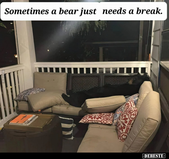 Sometimes a bear just needs a break.